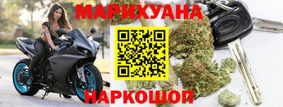 стаф Краснодар