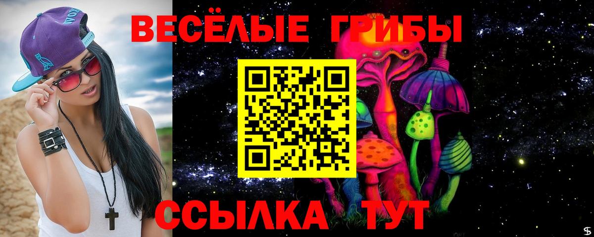 Галлюциногенные грибы Psilocybe Каменск-Уральский